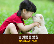 솔펫동물병원(자양동):042-622-7525