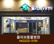 올리브동물병원(목동):042-222-3700