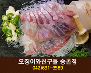 [대전 송촌동] 오징어와친구들 : 042-621-358