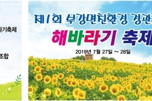 해바라기 축제 