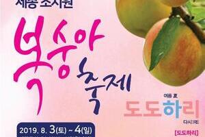제17회 세종 조치원복숭아 축제