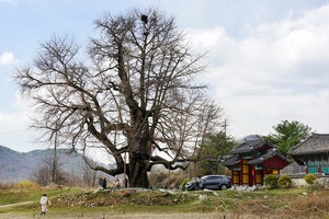 전월산
