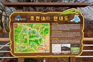 [세종] 조천변
