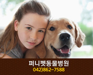 퍼니펫동물병원(어은동):042-862-7588