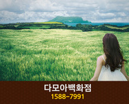 다모아백화점(중리동):1588-7991