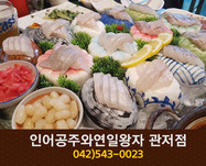 인어공주와연일왕자(관저동):042-543-0023