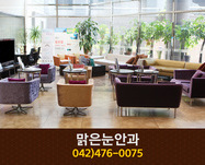 맑은눈안과(둔산동):042-476-0075