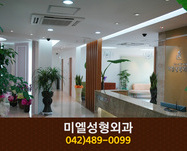 미엘성형외과(둔산동):042-489-0099