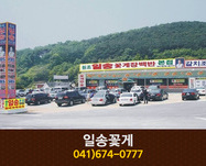 일송꽃게(안면도):041-674-0777